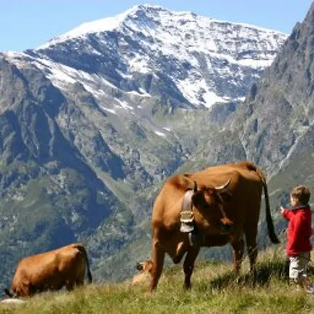 Apartman Vallee Blanche *